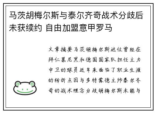 马茨胡梅尔斯与泰尔齐奇战术分歧后未获续约 自由加盟意甲罗马