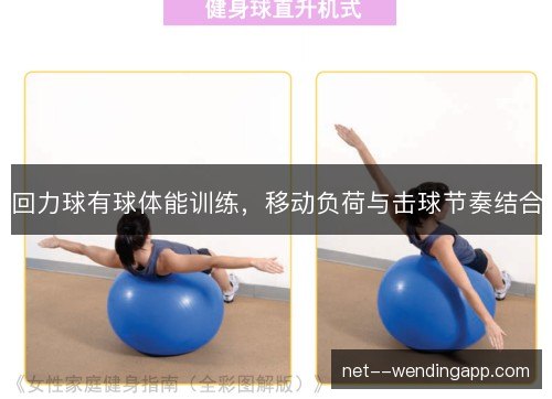 回力球有球体能训练，移动负荷与击球节奏结合
